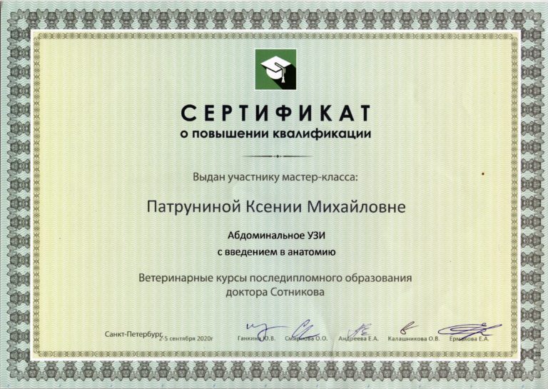 2020 Сертификат о повышении квалификации Патруниной Ксении Михайловне