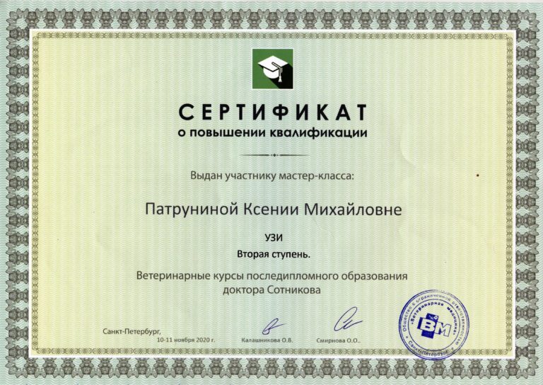 2020 Сертификат о повышении квалификации Патруниной Ксении Михайловне (УЗИ 2)