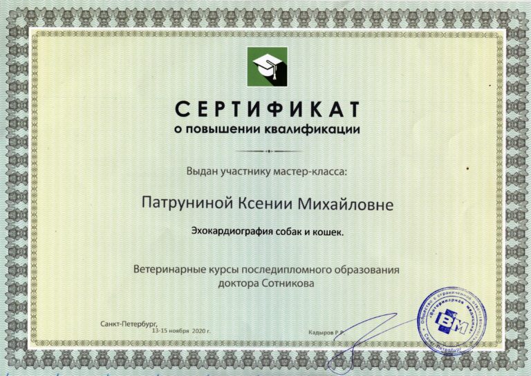 2020 Сертификат о повышении квалификации Патруниной Ксении Михайловне (Эхокардиография)