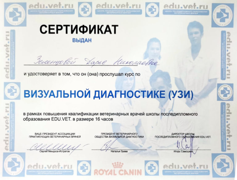 2009-Сертификат-визулальной-дигностики-УЗИ-edu.vet_.ru_-1024x776
